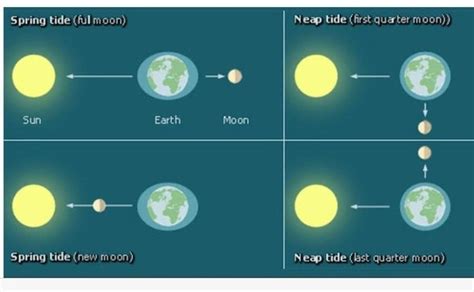 What are neap tides and spring tides? - Quora