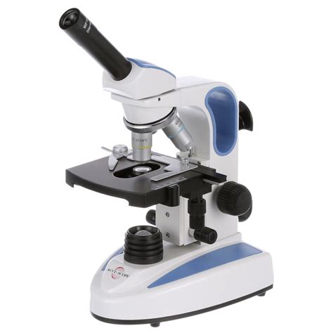 Parts Of A Compound Light Microscope Worksheet