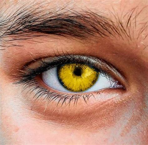 gold eyes | Vampire eyes, Aesthetic eyes, Cool eyes