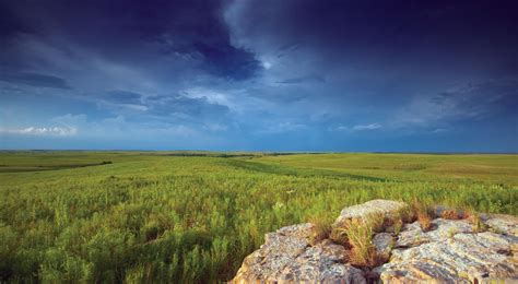 Great Plains | The Nature Conservancy