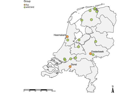 No spread of H5N1 bird flu between mammals found