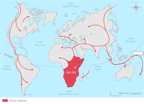 Homo Sapiens Migration Map