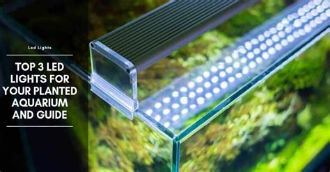 Top 3 LED Lights for Your Planted Aquarium And Guide - The Aquarium Adviser