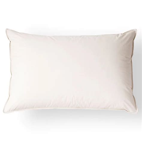 100% Organic Cotton Pillow