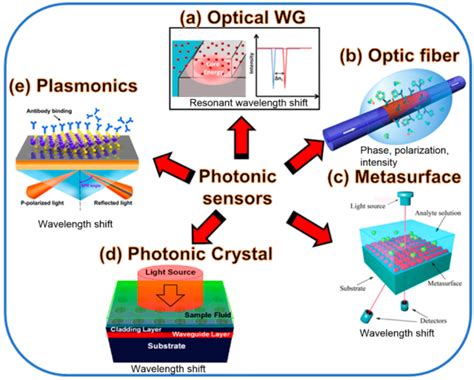 Photonic Sensors and Detectors: From Fundamentals to Cutting-Edge ...