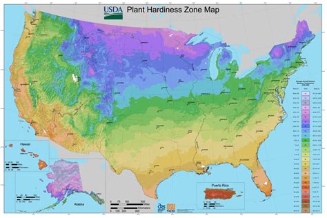 Usda Plant Hardiness Zones Map 2024 Olympics - Beth Marisa