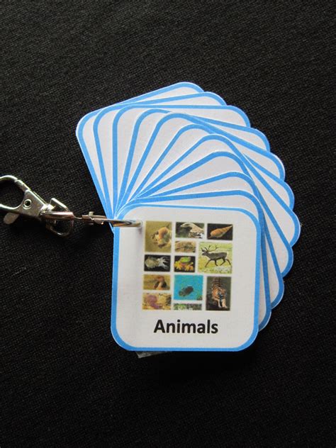 Animal Picture cards Autism/ADHD/Visual Communication Aids/PECS/SEN ...