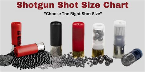 SG Vs BB Shotgun Cartridges, 43% OFF