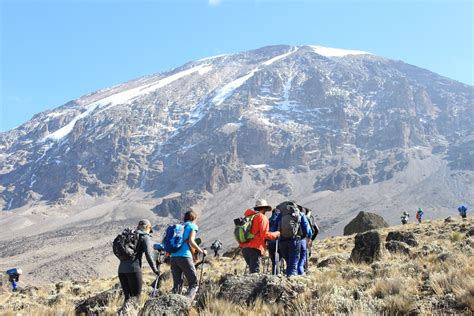 8 Days Mount Kilimanjaro Hiking Tour via Lemosho Route | Trip Ways