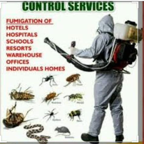 Fumigation!!!! Fumigation!!!! Fumigation!!!! - Health - Nigeria