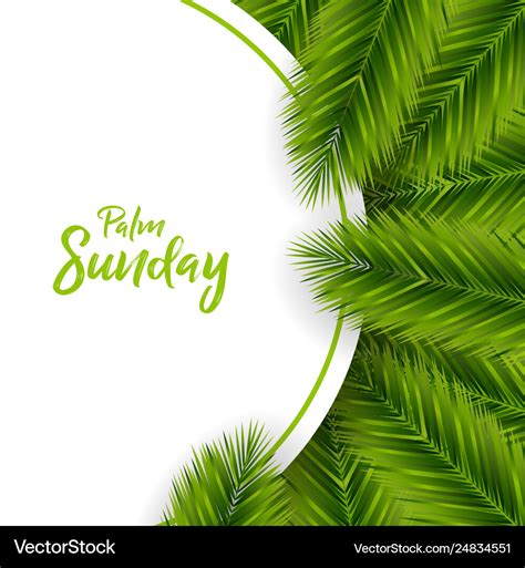 Palm sunday background Royalty Free Vector Image