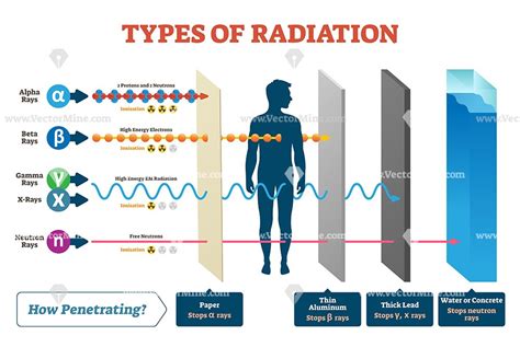 Types of radiation vector illustration diagram | Physics and ...