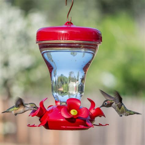 Perky pet hummingbird feeder - polizshares