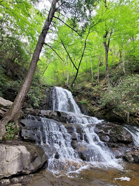 Laurel Falls Trail - Trails Near Me