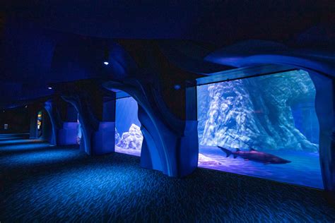 Georgia Aquarium Expansion, Atlanta, GA | Oculus Light Studio