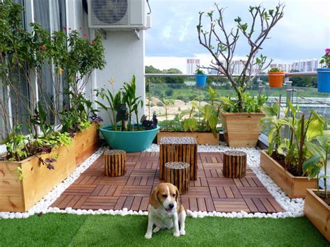 A Full Guide For Your Urban Terrace Garden - Hungry Garden