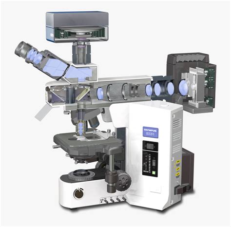 Reflected Light Microscope, HD Png Download - kindpng