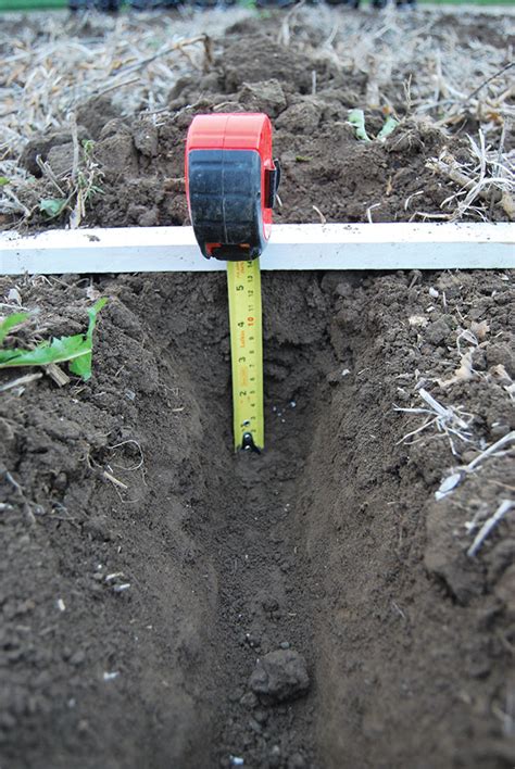 Strip tillage and fertilizer options for Ontario corn growers - Top ...