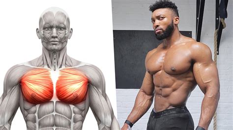 The Ultimate 20 Minute Chest Workout for Perfect Pecs | BOXROX