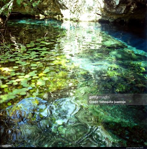 Cenote Nature High-Res Stock Photo - Getty Images