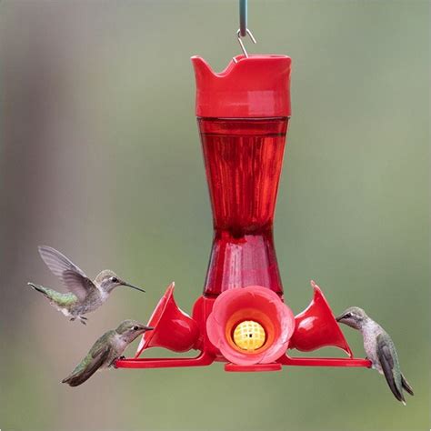 Perky-Pet Pinch-Waist Red Glass Hummingbird Feeder