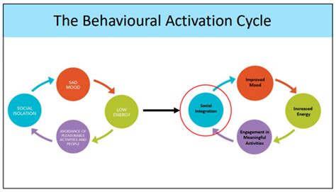 The Behavioural Activation Cycle - Everything is Broken