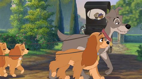 Lady and the Tramp II: Scamp’s Adventure (2001) – Movie Reviews Simbasible