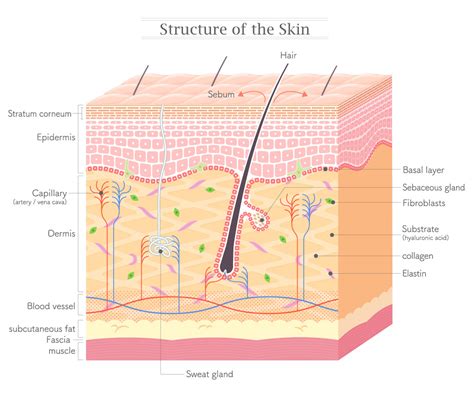 How a Chemical Peel Can Heal Your Skin - Restorations Medical Spa