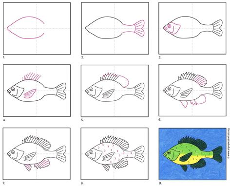 School Of Tropical Fish Drawing