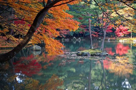 Autumn Leaves in Kyoto | Visitors Guide 2024 | Kyuhoshi