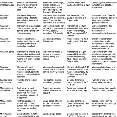 Morphological features of fungi detected in medicinal and aromatic ...