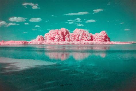 How to Do Infrared Photography With Basic Camera Gear