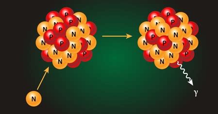 Difference Between Neutron Capture And Absorption - Relationship Between