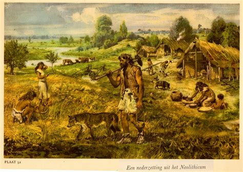 Neolithic Agricultural Revolution