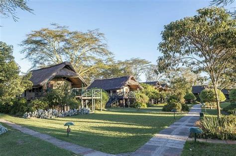 Guide to Eco Hotels in Kenya ( 2024 Updated) | Kiki Journey