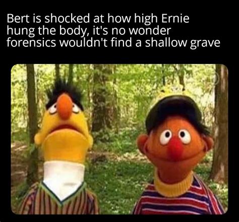 Bert And Ernie Human