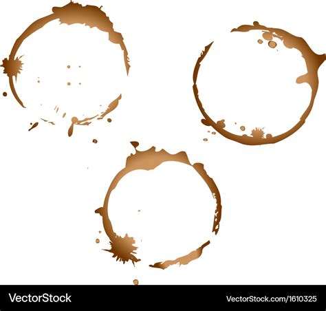 Coffee stains Royalty Free Vector Image - VectorStock