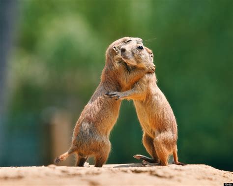 These Incredible Photos Prove That True Love Does Exist | HuffPost