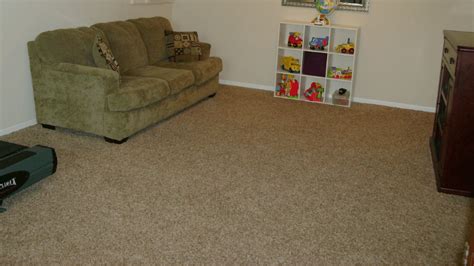 What is a Frieze Carpet? The Pros and Cons