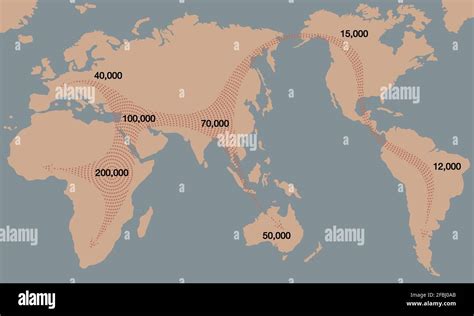 Homo erectus africa hi-res stock photography and images - Alamy