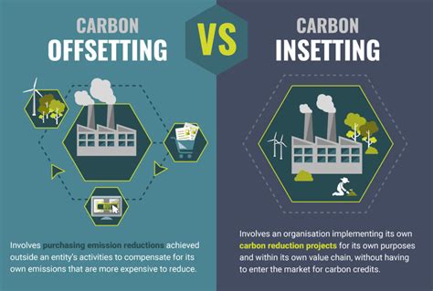 Carbon Offsetting VS. Carbon Insetting - Carbonwise