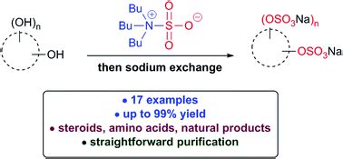 Sulfation made simple: a strategy for synthesising sulfated molecules ...