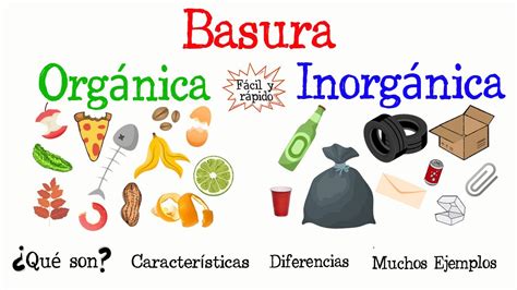 Cuales Son Los Residuos Organicos E Inorganicos Ejemplos Coleccion De ...