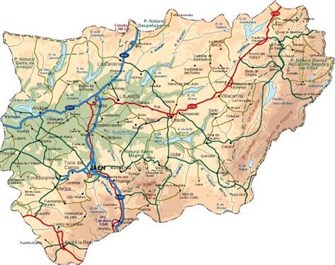 Jaen Mapa Provincia Vectorial