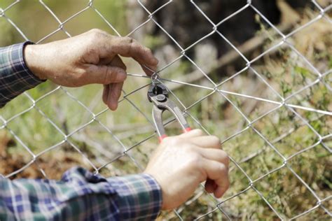 Wire Mesh Archives - Alpine Fence Co.