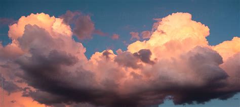 Cumulus Clouds At Sunset | Stocksy United | Cumulus clouds, Sky and ...