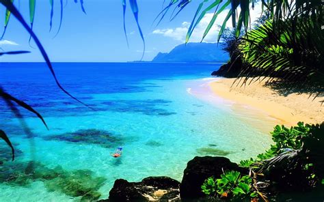 Hawaii Beach Wallpaper 1920x1200 56254 - Baltana