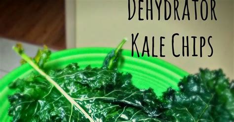 Simple Dehydrator Kale Chips