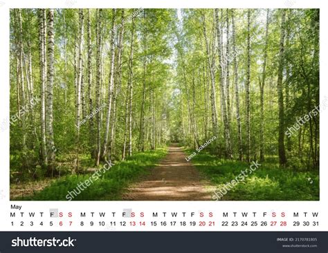 Calendar Grid Numbers By Month 2023 Stock Photo 2170781805 | Shutterstock