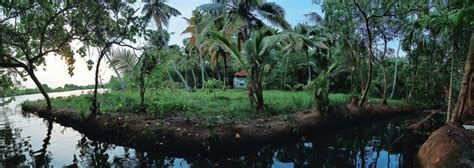 Top thing to do in Kayamkulam Lake (2024) | All about Kayamkulam Lake ...